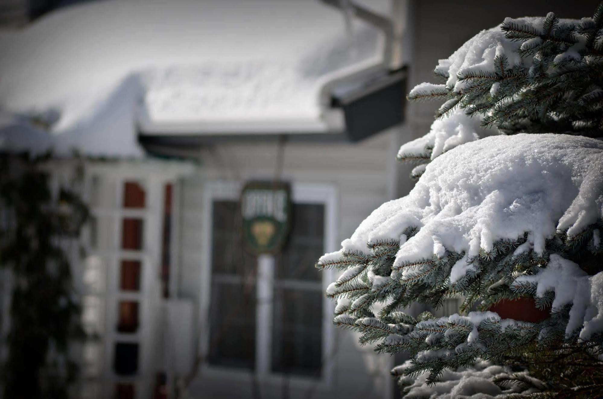 Harwood Hill Motel Bennington Dış mekan fotoğraf